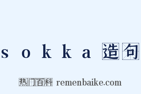 sokka造句是什么意思的图片